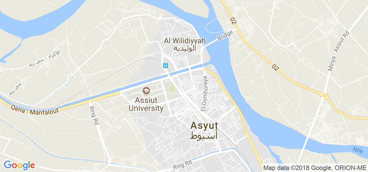 map of the city of Asyut