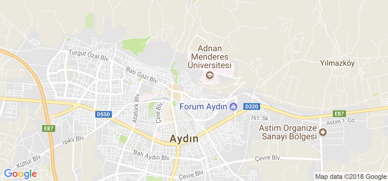 map of the city of Aydin