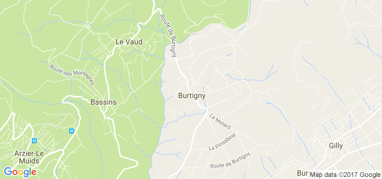 map de la ville de Burtigny