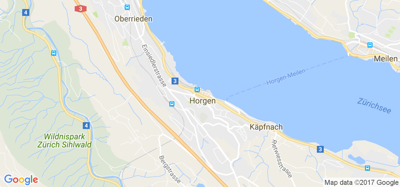 map de la ville de Horgen