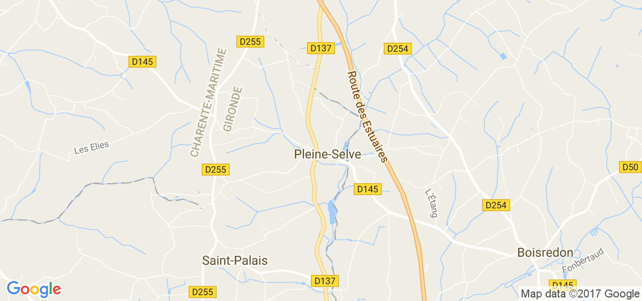 map de la ville de Pleine-Selve