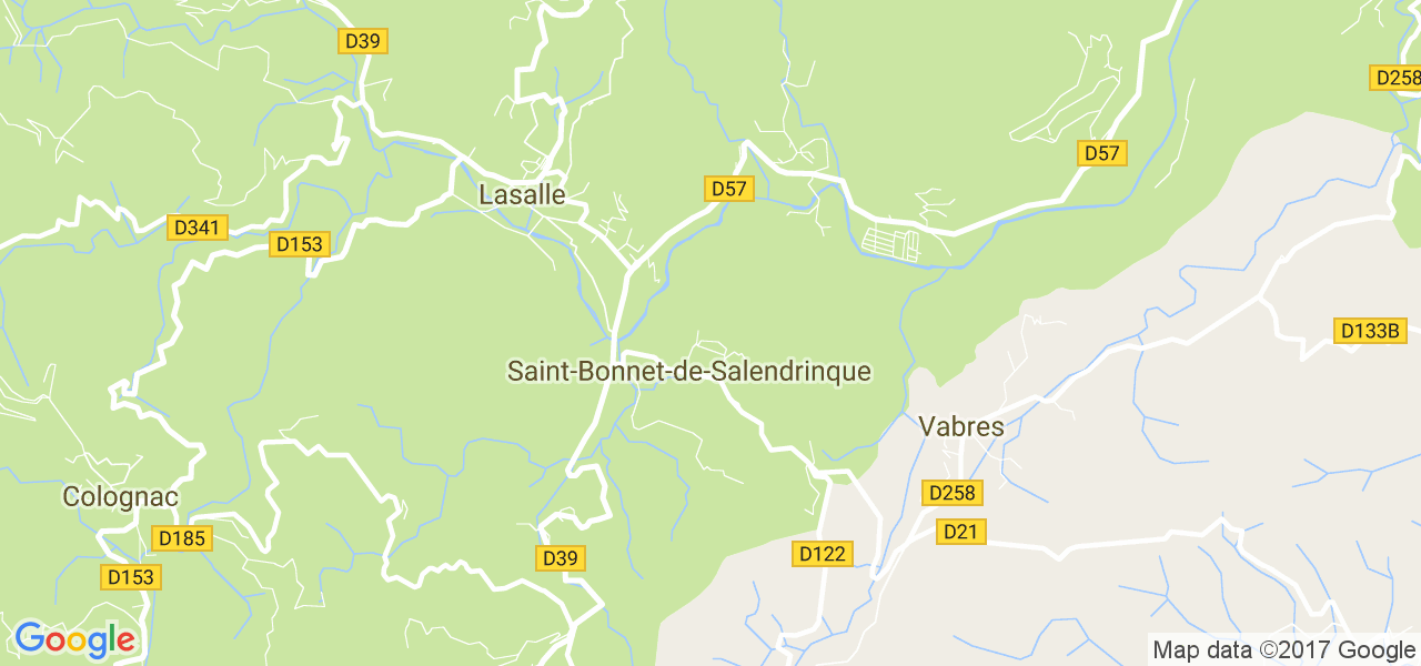 map de la ville de Saint-Bonnet-de-Salendrinque