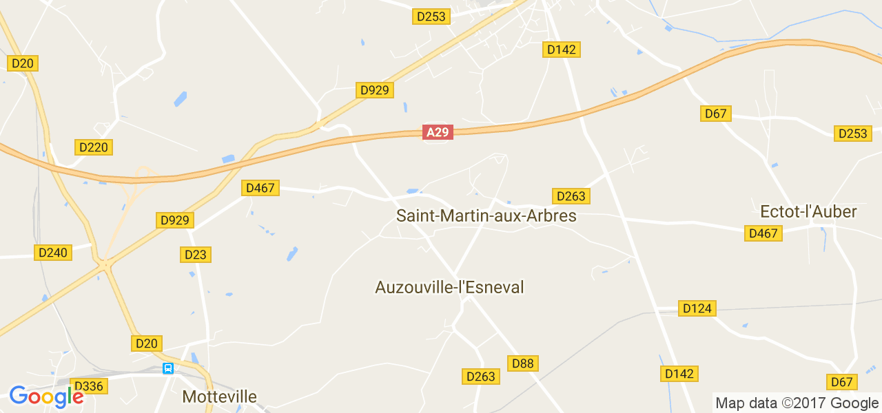 map de la ville de Saint-Martin-aux-Arbres