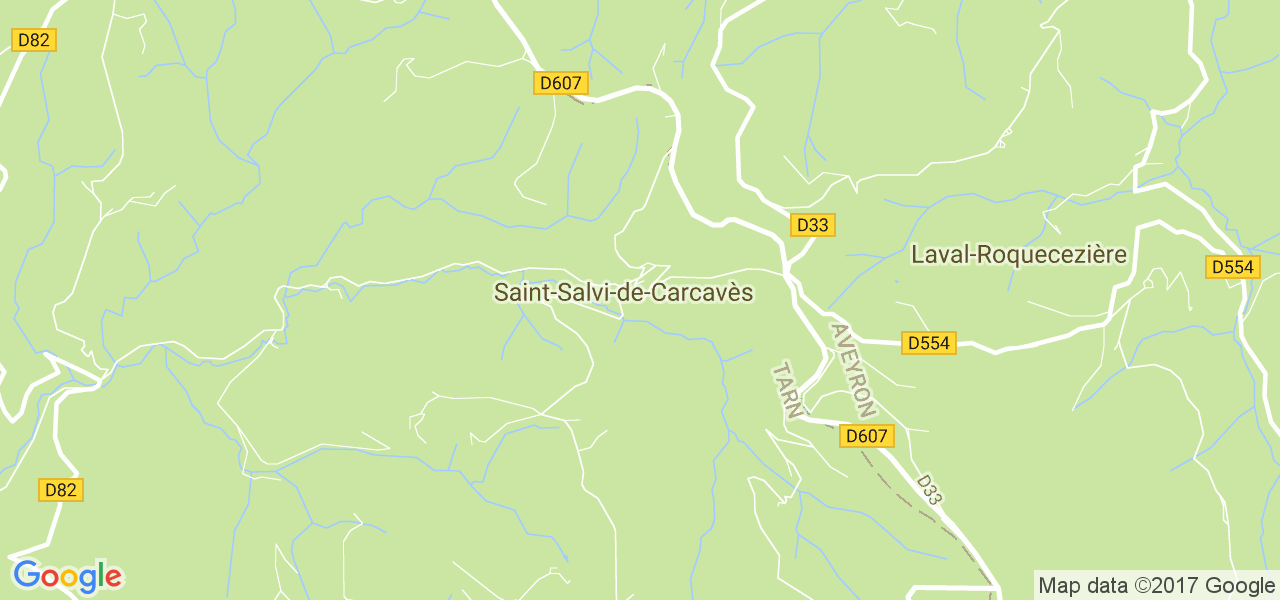 map de la ville de Saint-Salvi-de-Carcavès