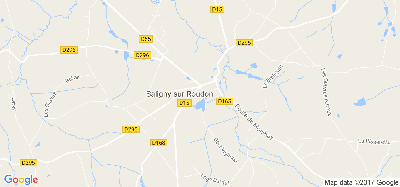 map de la ville de Saligny-sur-Roudon
