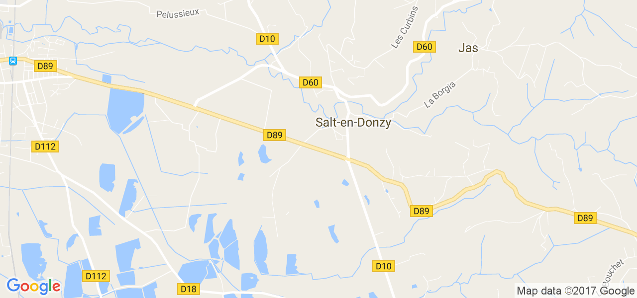 map de la ville de Salt-en-Donzy