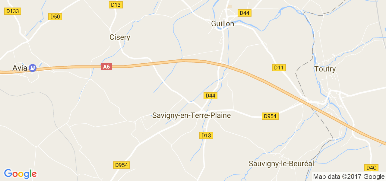 map de la ville de Savigny-en-Terre-Plaine