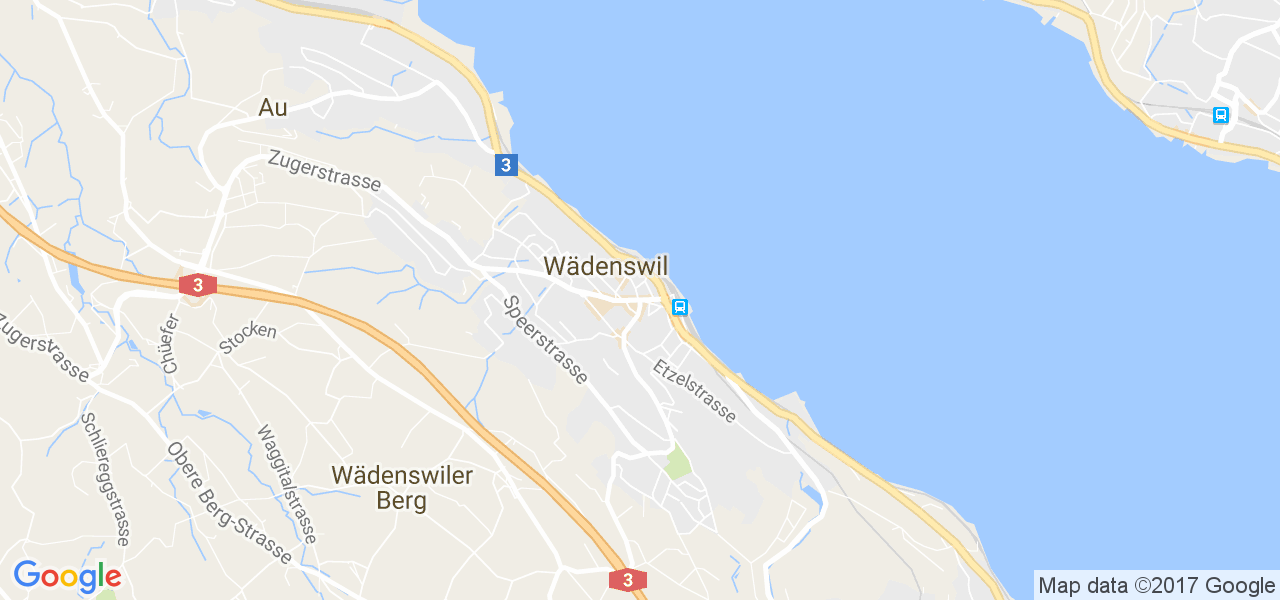 map de la ville de Wädenswil