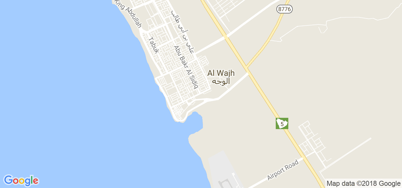 خريطة الوجه